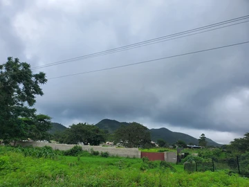 Commercial & Industrial Land