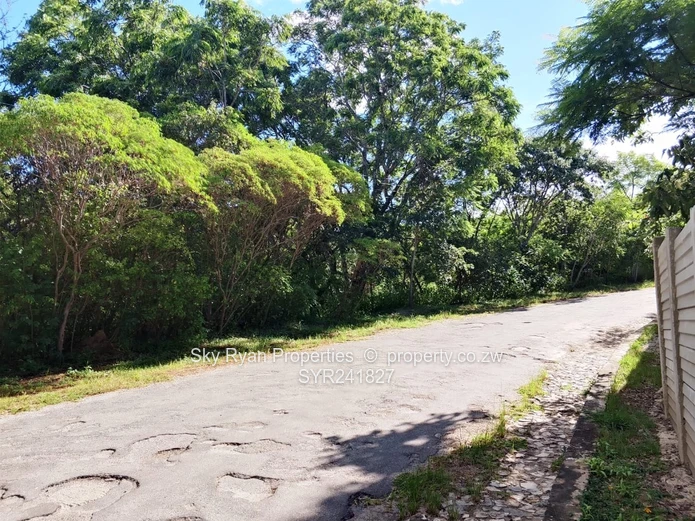 Glen Lorne  Stand For Sale