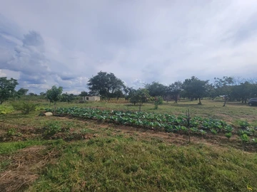 Farm & Agricultural Land