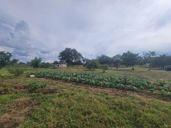 Farm & Agricultural Land