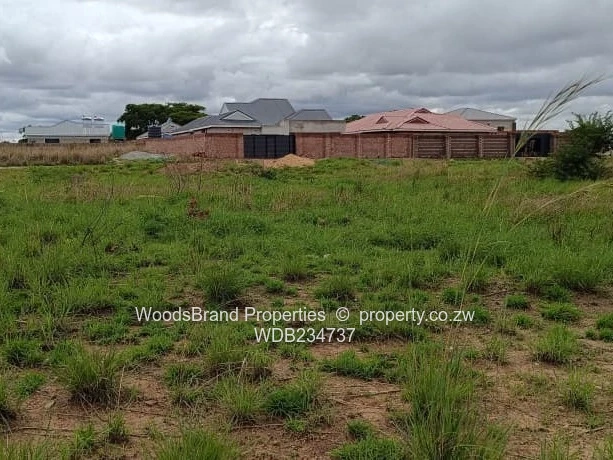 Windsor Park Ruwa Stand For Sale (Sole Mandate)
