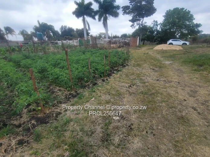 Prime Stand For Sale | New Marlborough, Harare