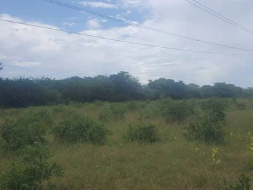 Farm & Agricultural Land