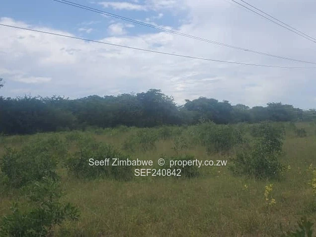 Prime Agricultural Land for Sale in Masvingo 