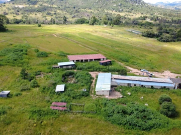 Farm & Agricultural Land