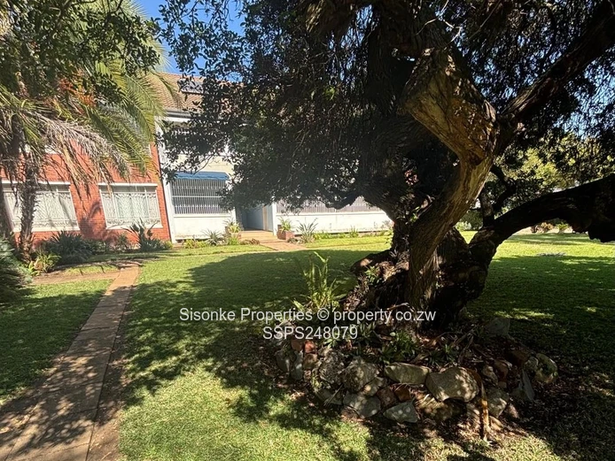 Elegant Furnished Duplex Garden Flat To Let in Avondale 