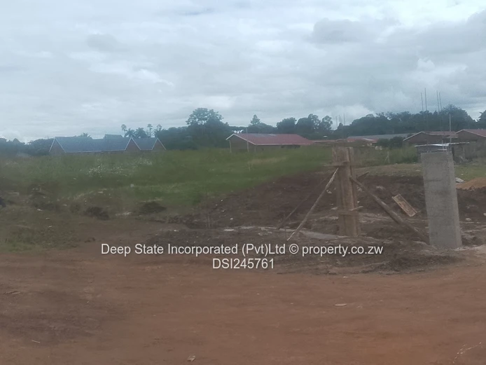 Mt pleasant/Vainona stand for sale 