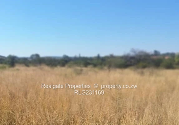 Matsheumhlope Stand For Sale (Sole Mandate)