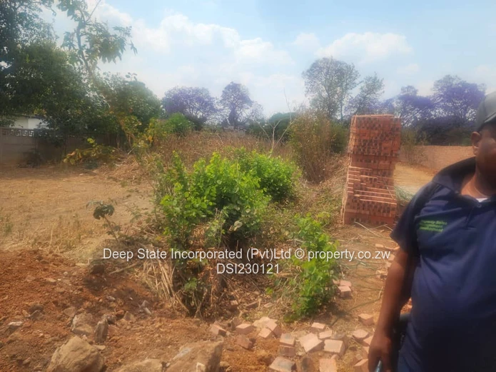 Malbereign stand for sale (Sole Mandate)