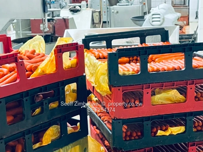Bulawayo Commercial Property & Established Meat Manufacturing Business For Sale