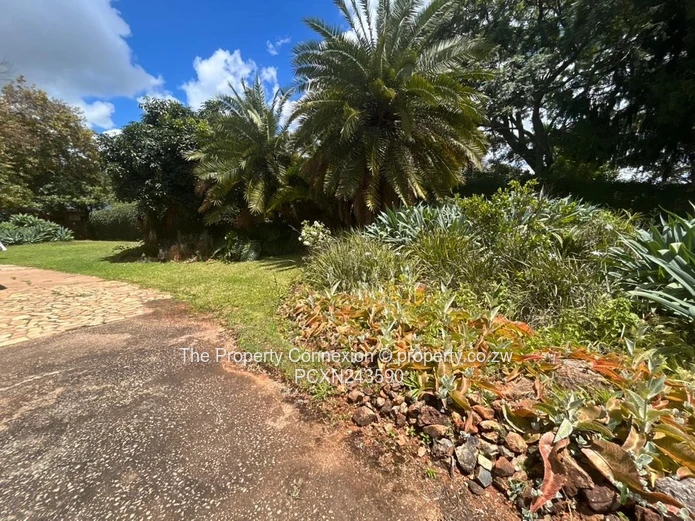 Prime 4-Bedroom Wing to Rent – Borrowdale, Harare North