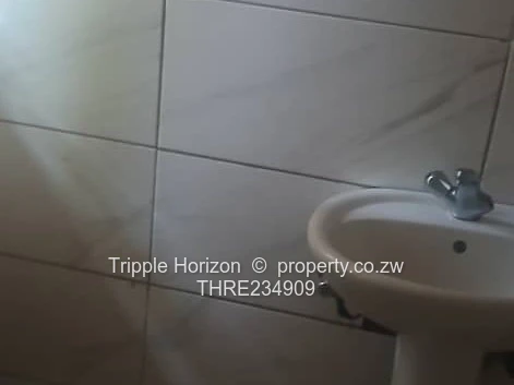 Bloomingdale house for sale