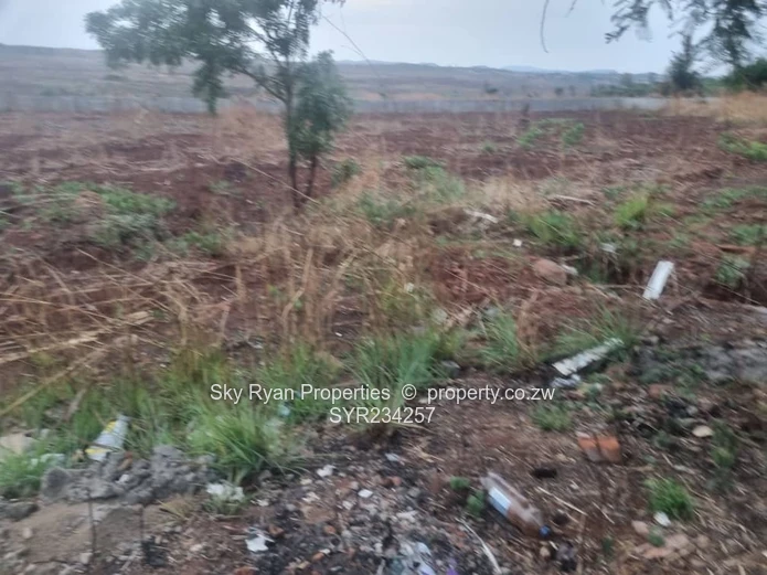 Borrowdale Brooke Stand For Sale