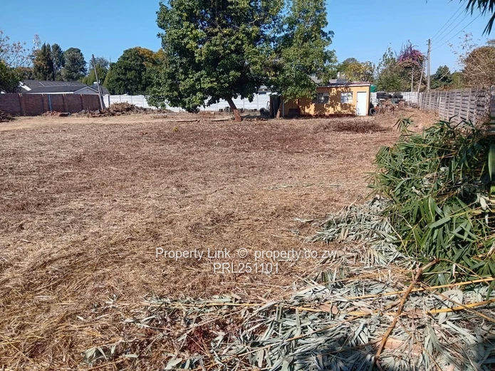 Secure Walled 2000m² Northwood Stand with Borehole & Staff Accommodation