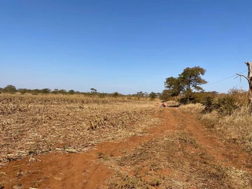 Farm & Agricultural Land