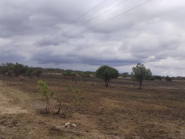 Farm & Agricultural Land