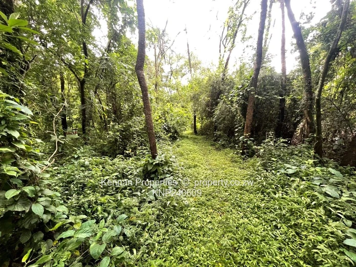 Beautiful Property on 7848 Square metres