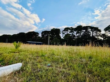 Land