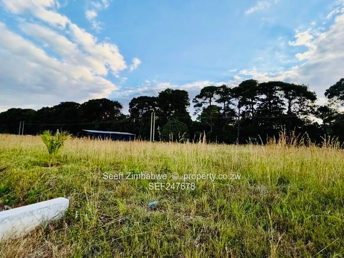 Pomona City Stand- Ready to build (Sole Mandate)