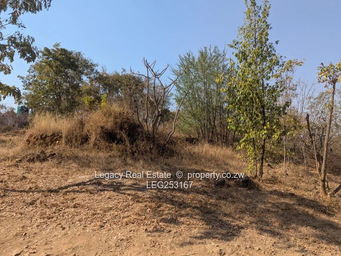 4472 m² Greystone Park — Sloping Stand with Cottage, Trees and Gate
