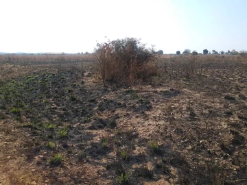 Farm & Agricultural Land