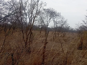 Farm & Agricultural Land