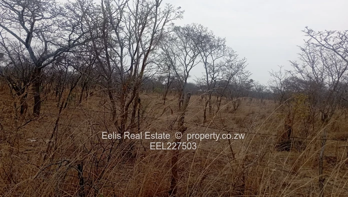 Gweru Plots for sale 