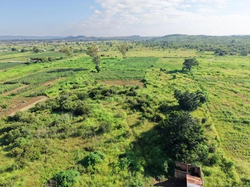 Farm & Agricultural Land