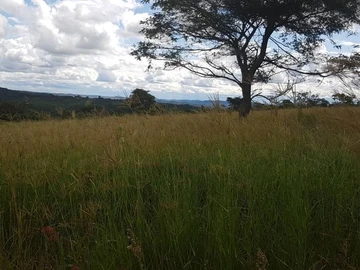 Agro land in Glen Forest to rent!