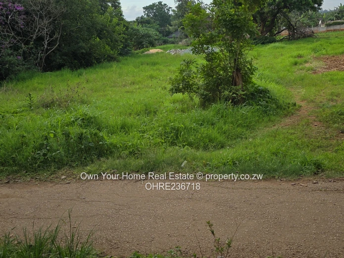 Meryick Park Residential Stand
