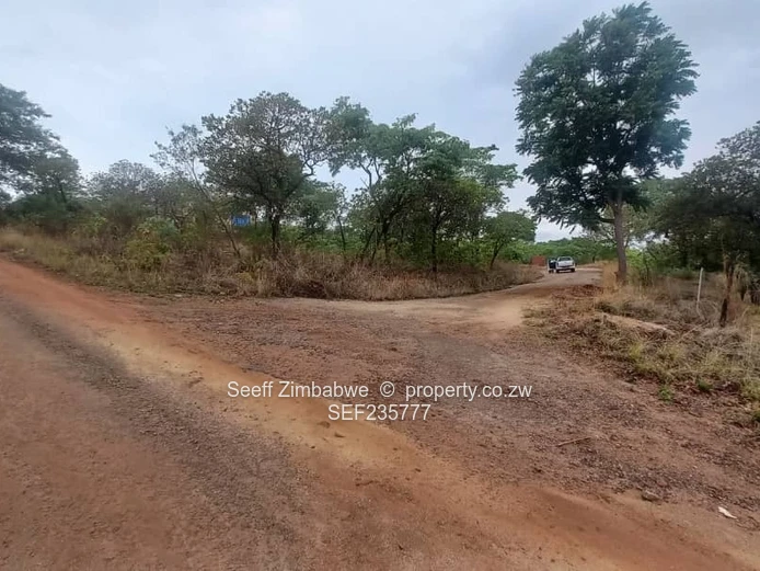 Prime Property for Sale in Borrowdale - Carrick Creagh Estate