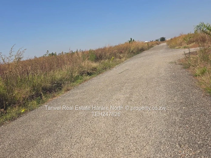 Fairview,  Shineplus 60k.800sqm.Fully serviced and ready for title