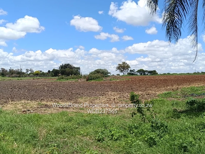 Mt Hampden land For Sale