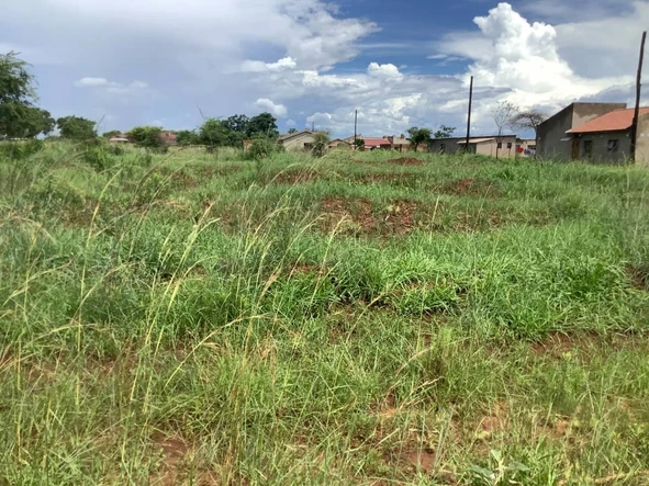 Stands & Residential Land