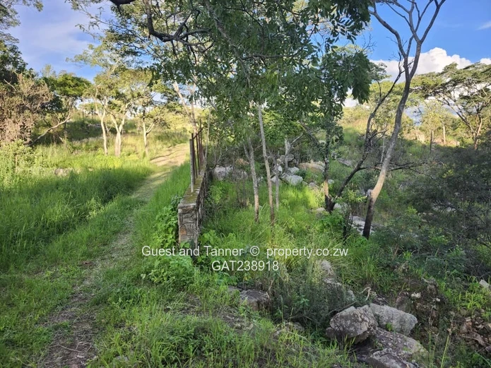 Ruwa Agro Residential Plot for Sale - 3.88ha with Farmhouse and Excellent Water Infrastructure