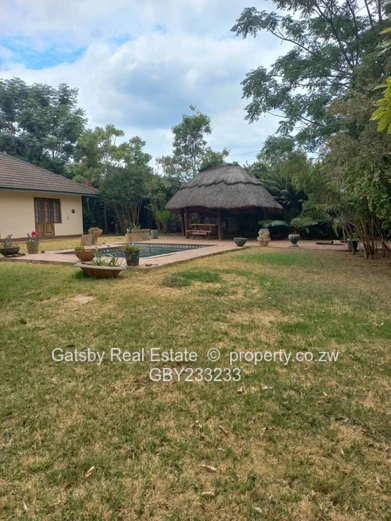 Available 1st of December  (Sole Mandate)