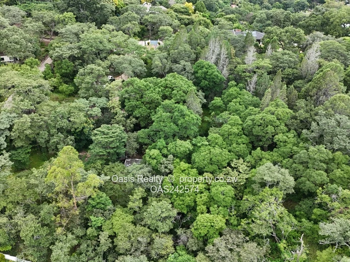 Prime 4,000m² Stand on Yellow Wood Lane, Kambanji  with Valley Views & Indigenous Trees (Sole Mandate)