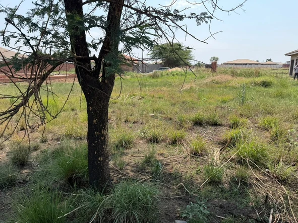 Stands & Residential Land