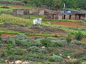 Commercial & Industrial Land