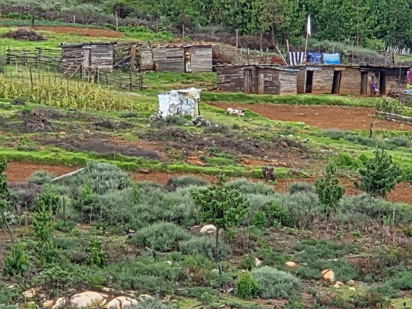 Commercial & Industrial Land