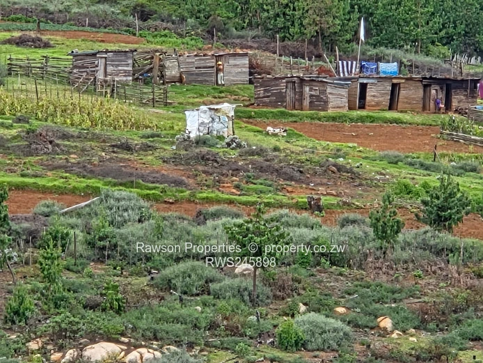 Prime 4.2ha Commercial Land with Panoramic Nyanga Views