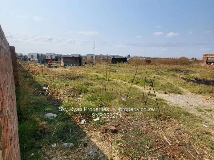 Madokero Stand For Sale