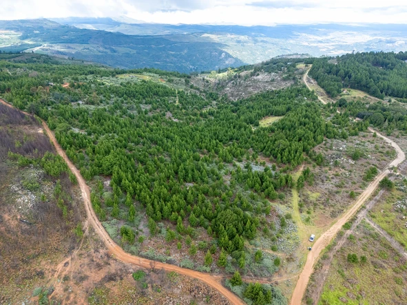 Commercial & Industrial Land