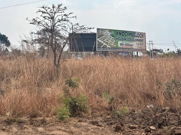 Stands & Residential Land
