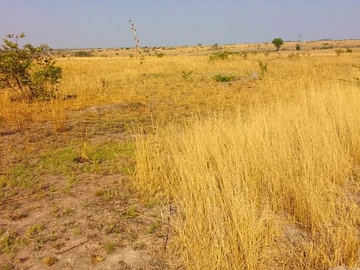 Commercial & Industrial Land