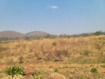 Farm & Agricultural Land
