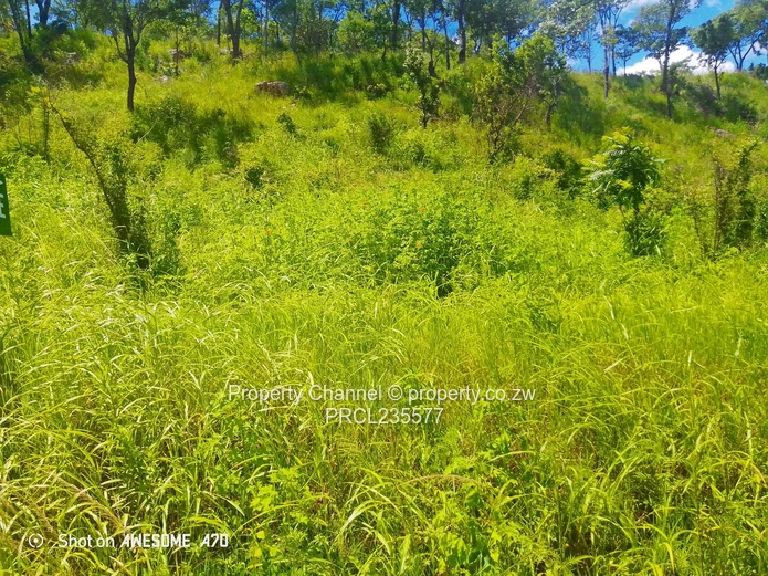 Sloping 4000m² Carrick Creagh — Subdividable, Tarred Road