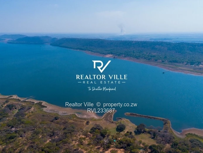 Lake City Stands For Sale  (Sole Mandate)