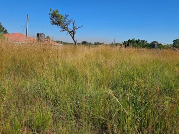 Stands & Residential Land