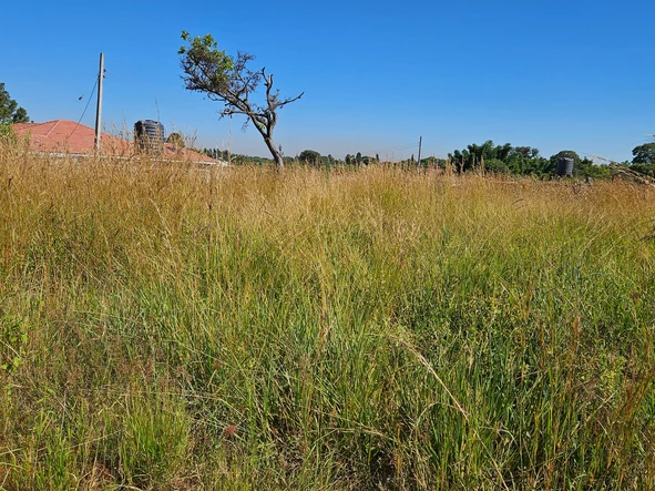 Stands & Residential Land